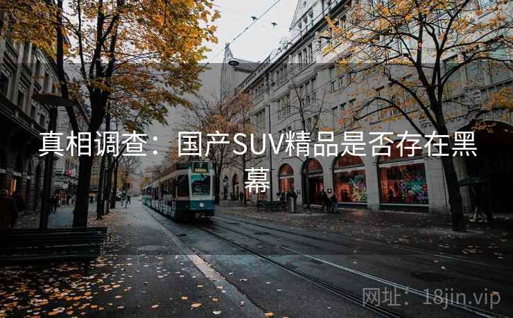 真相调查:国产SUV精品是否存在黑幕 真相调查:国产SUV精品是否存在黑幕